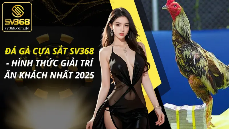Đá gà cựa sắt SV368 - Đỉnh cao tốc độ và cảm xúc trong từng pha ra đòn 1 Đá gà cựa sắt SV368 - Đỉnh cao tốc độ và cảm xúc trong từng pha ra đòn