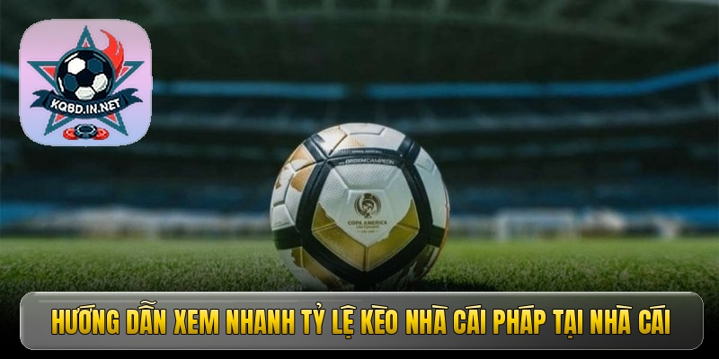 Kèo nhà cái Pháp - Bí kíp chinh phục Ligue 1 đỉnh cao 2 Hướng dẫn xem nhanh tỷ lệ kèo nhà cái Pháp tại nhà cái