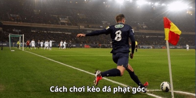 Tìm hiểu kèo phạt góc tại keobongda - Góc nhìn khác từ nhịp tấn công hai biên 3 kinh nghiem soi keo goc