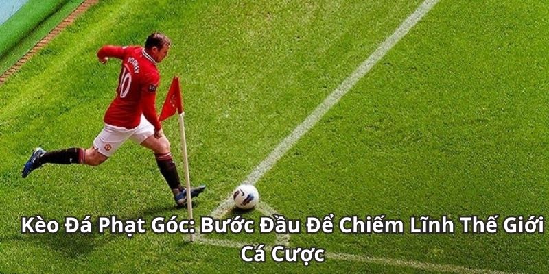 Tìm hiểu kèo phạt góc tại keobongda - Góc nhìn khác từ nhịp tấn công hai biên 1 Tìm hiểu kèo phạt góc tại keobongda - Góc nhìn khác từ nhịp tấn công hai biên